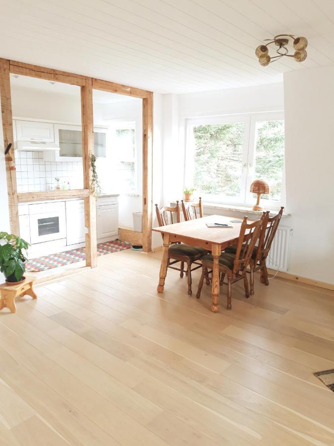 Ferienhaus Im Bergdorf Hohegeiß Esterno foto