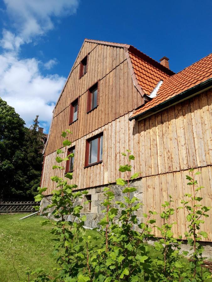 Ferienhaus Im Bergdorf Hohegeiß Esterno foto
