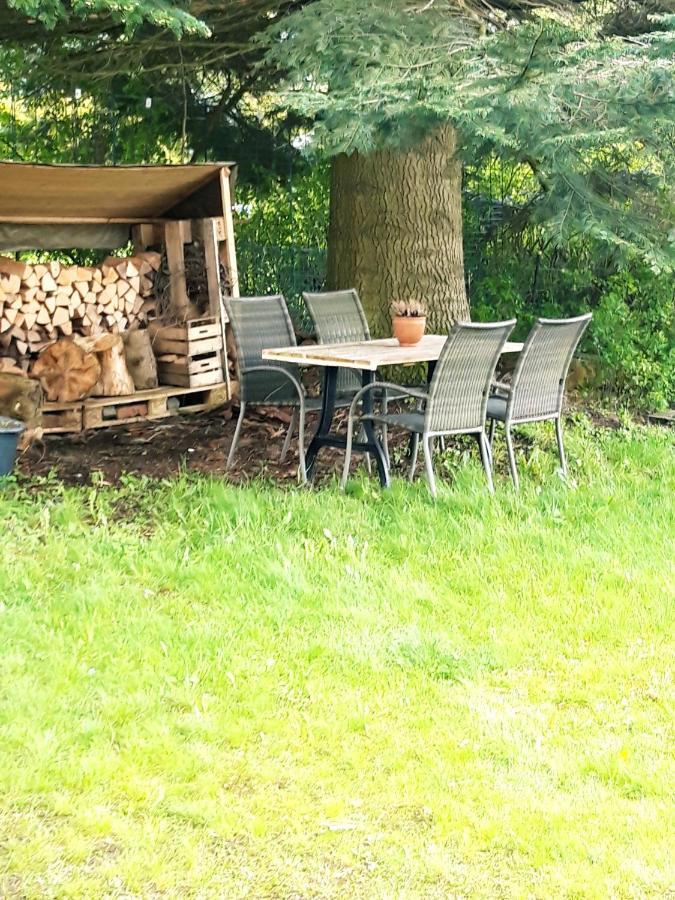 Ferienhaus Im Bergdorf Hohegeiß Esterno foto